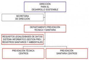 organigrama