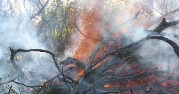 CCOO pide que la extinción de incendios forestales se incluya como actividad penosa, tóxica, peligrosa o insalubre