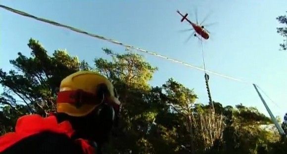 Prevención Extrema: ¿Cómo se poda un pino de 30 metros en pleno monte?