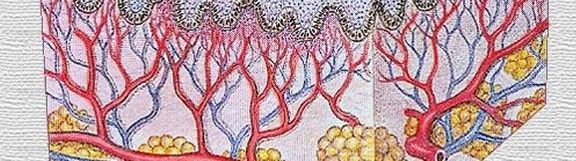 RISKOFDERM - Evaluación del riesgo por exposición dérmica laboral a sustancias químicas