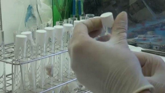 La vacuna contra la gripe reduce un 70% el absentismo