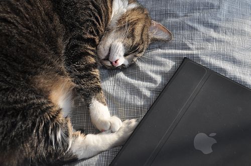 Cuidado ¡ No te lleves el iPad a la cama ¡