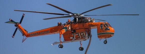 N179AC-Elvis-739