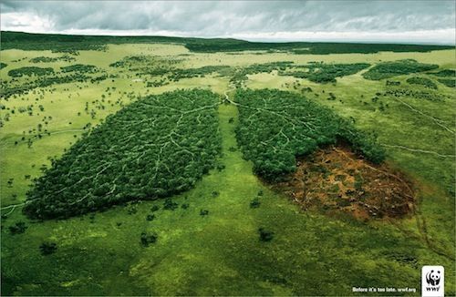 Las 10 empresas más sostenibles según WWF