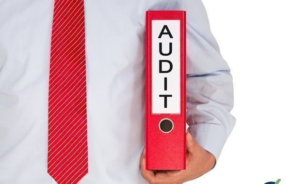 Descargate gratis 4 manuales sobre Auditorias en Prevención