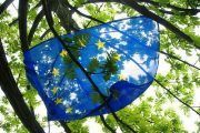 El bienestar nueva prioridad europea