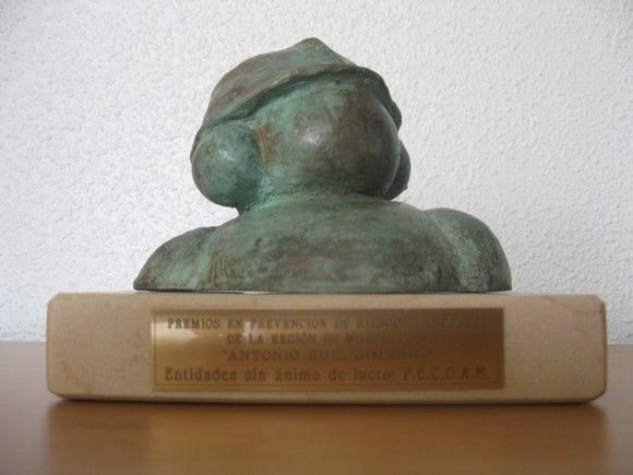 Premios "Antonio Ruiz Giménez" 2014