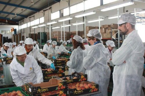 Agromartín: Ejemplo de empresa saludable