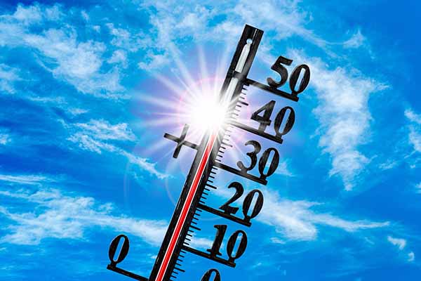 Estrés térmico por Calor