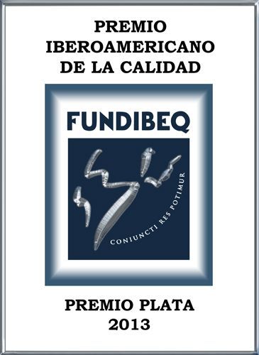 PLATA 2013