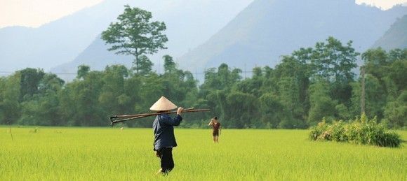 vietnam