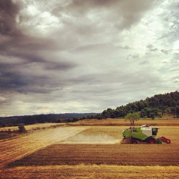 Field working on #sights #instasight #myhome #ilovemyhome #home #catalunya