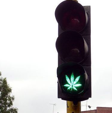 La Marihuana es un grave factor de riesgo para seguridad vial