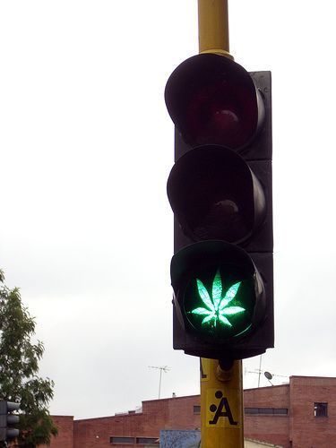 La Marihuana es un grave factor de riesgo para seguridad vial