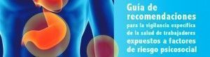 vigilancia_salud_riesgos_psicosociales