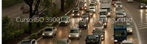 curso_iso_39001