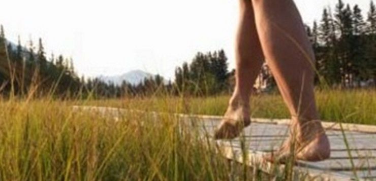 Se podrían evitar más de un millón de muertes reduciendo el sedentarismo