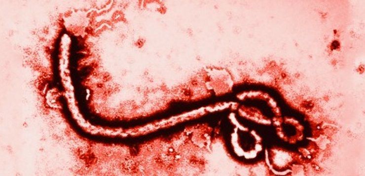 España perdió 64.000 millones de euros el año 2010 por causa del absentismo