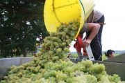 La película Vendange obtiene el Galardón Cinematográfico Lugares de Trabajo Saludables