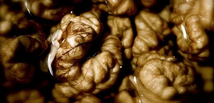Pon nueces en tu vida