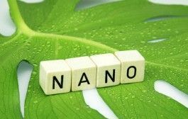 Políticas Públicas Europeas de Registro de Nanomateriales y sus Viabilidad dentro de la Estrategia Española de Seguridad y Salud en el Trabajo 2015-2020