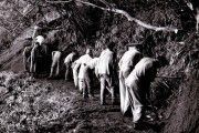 Lewis Hine: Los años del 