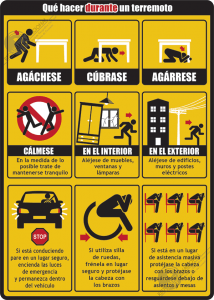 qué hacer durante un terremoto