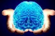 PrevenConsejo: Evaluación simplificada del error humano