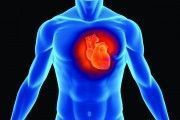 Presentan un App para enseñar a controlar los factores de riesgo cardiovascular