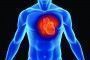 Presentan un App para enseñar a controlar los factores de riesgo cardiovascular