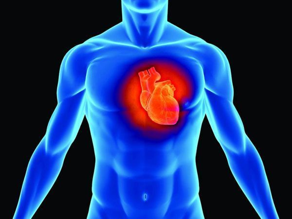 Presentan un App para enseñar a controlar los factores de riesgo cardiovascular