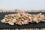 Alimentacion natural contra la ansiedad