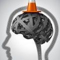 cerebro_humano