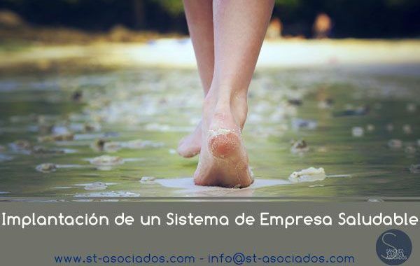 Implantación de un Sistema de Empresa Saludable