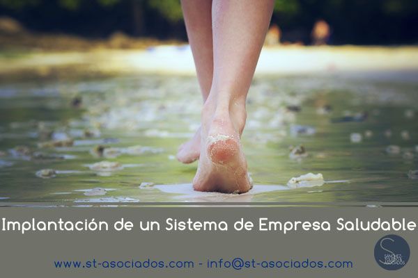 Implantación de un Sistema de Empresa Saludable