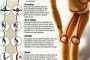 PrevenConsejo: La postura correcta