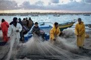Guía de Vigilancia de la Salud en el Sector Pesquero