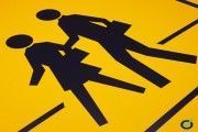 El Race y Goodyear entregan los Premios Nacionales de Seguridad Vial