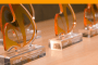 Conoce al jurado de II Premios Empresa Saludable
