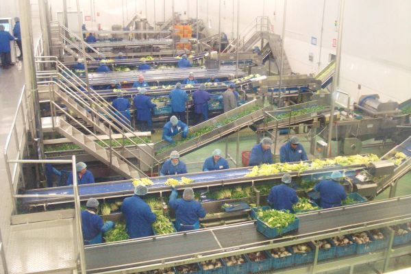 Primaflor, galardonada por su sistema integral de gestión de la prevención