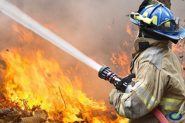 Ley 17/2015, de 9 de julio, del Sistema Nacional de Protección Civil
