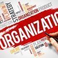 organización del trabajo
