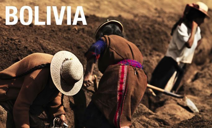 Actuaciones para empresas saludables en el sector industrial boliviano