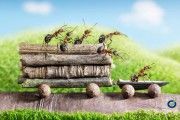 Trabajo en Equipo y Clima Laboral