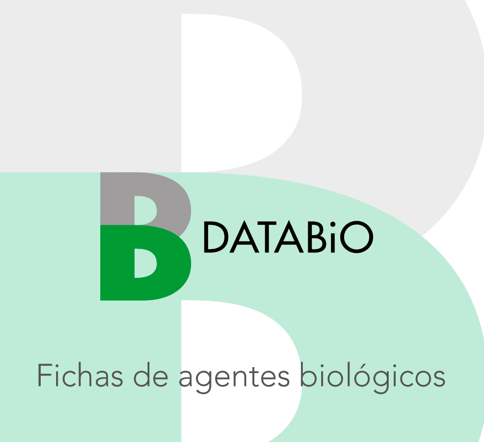 Nuevas fichas de agentes biológicos en el Databio del INSHT