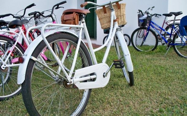 Bicis por todas partes