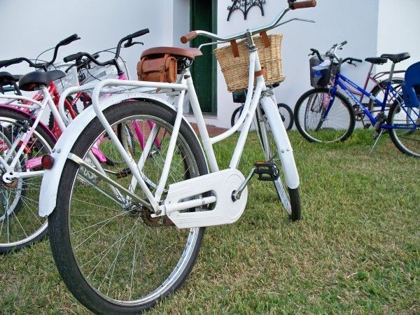 Bicis por todas partes