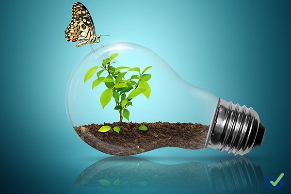 bombilla_sostenibilidad_medio_ambiente