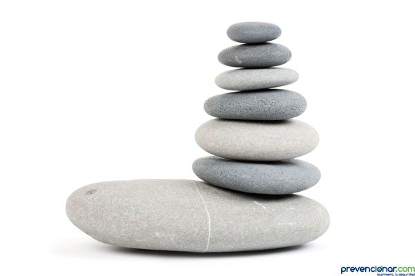 Criterio para la consideración de un trabajador especialmente sensible a determinados riesgos del trabajo