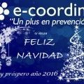 Postal_navidad_ecoordina